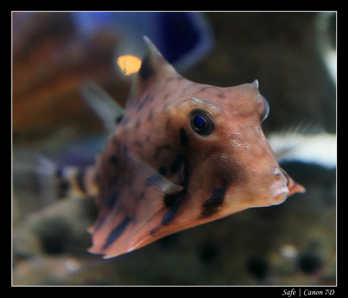 2012 - 06 - Dubai - 160